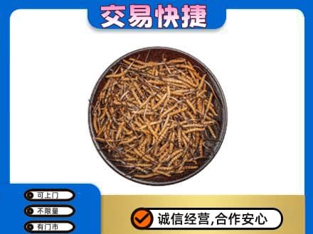 阜宁县回收散虫草